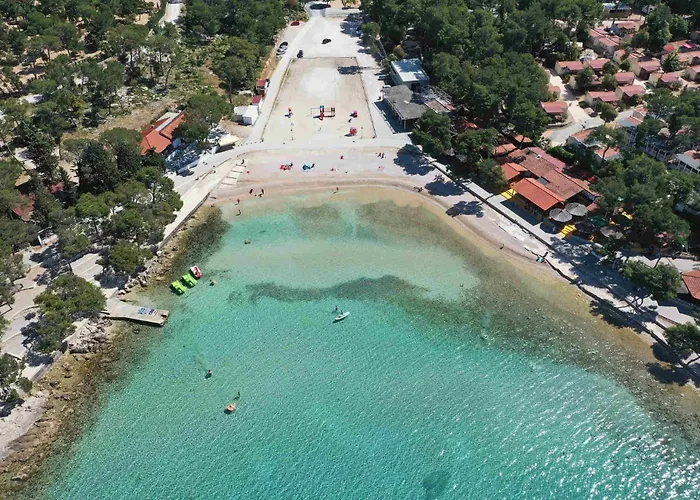 My Dalmatia - Dada 2